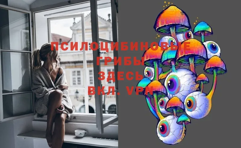 цены   Карталы  Псилоцибиновые грибы Magic Shrooms 